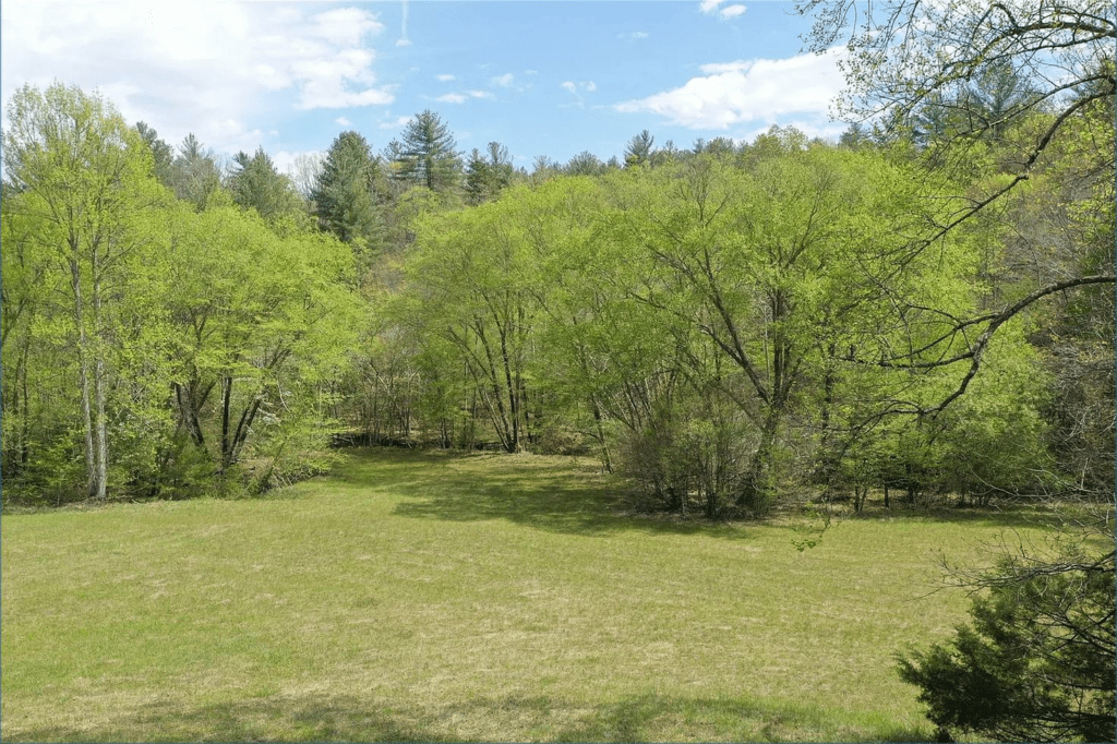 Wide grassy field bordered by green trees